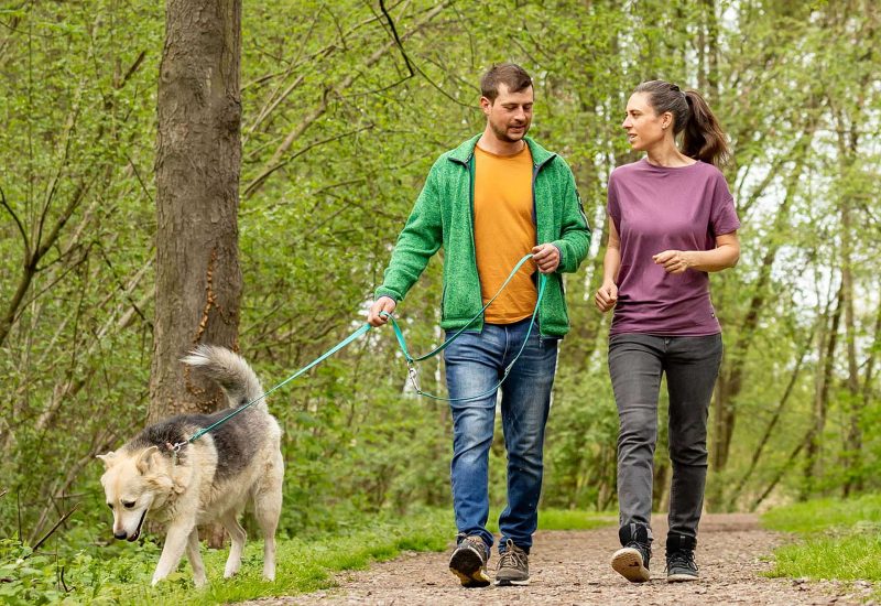 Startseite---Einzeltraining-und-Verhaltensberatung